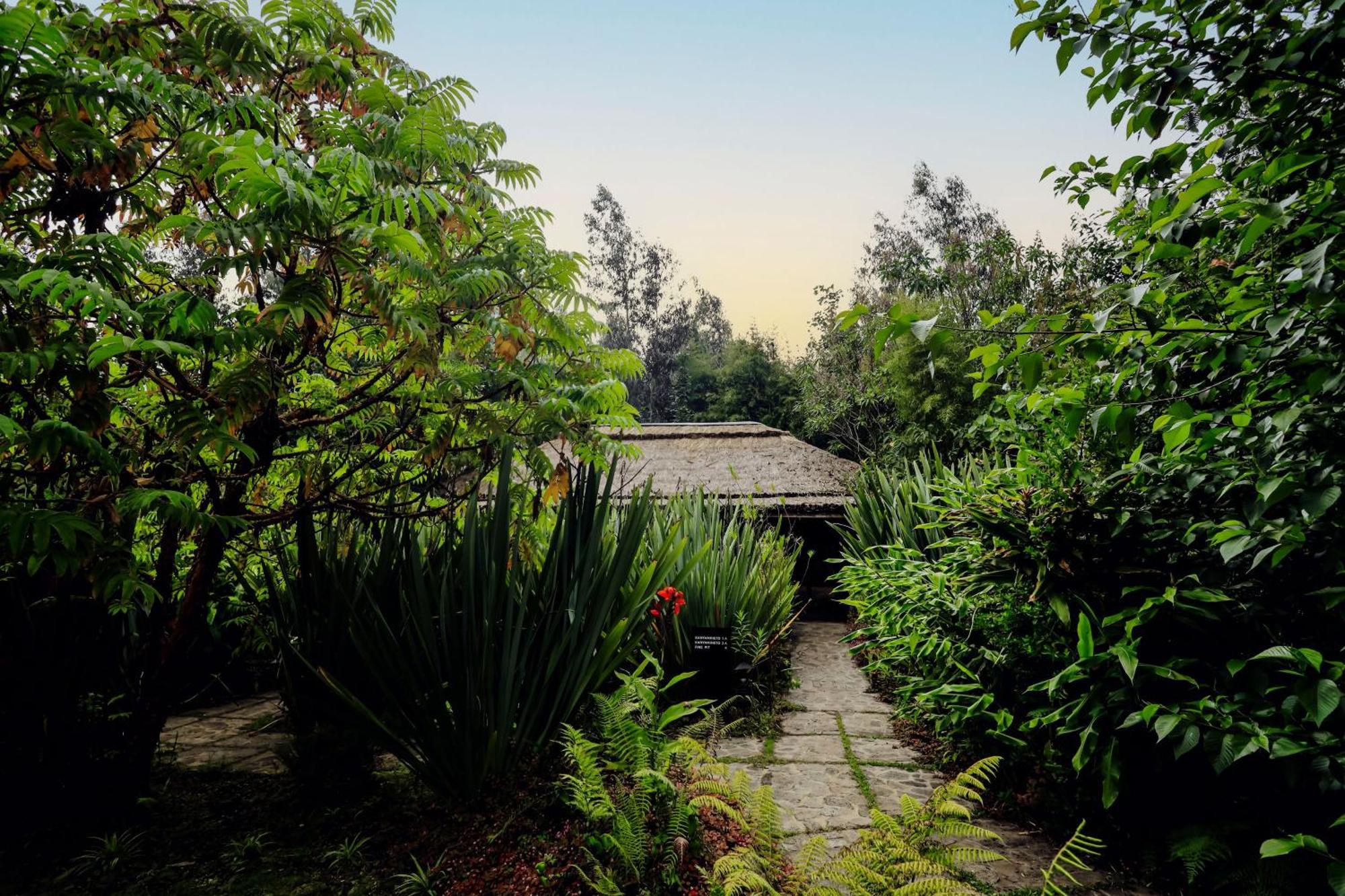 Villa Sambora Kinigi Exterior foto